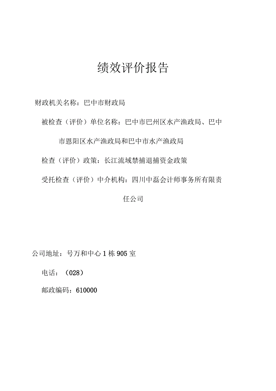 绩效评价报告.docx_第1页