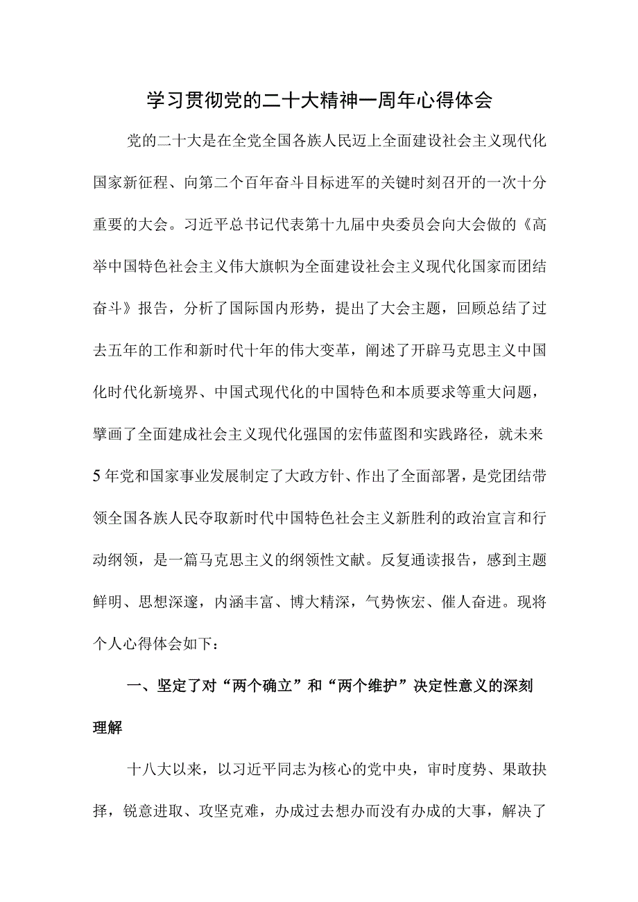 2023年青年学者学习贯彻《党的二十大精神》一周年个人心得体会（汇编4份） .docx_第1页