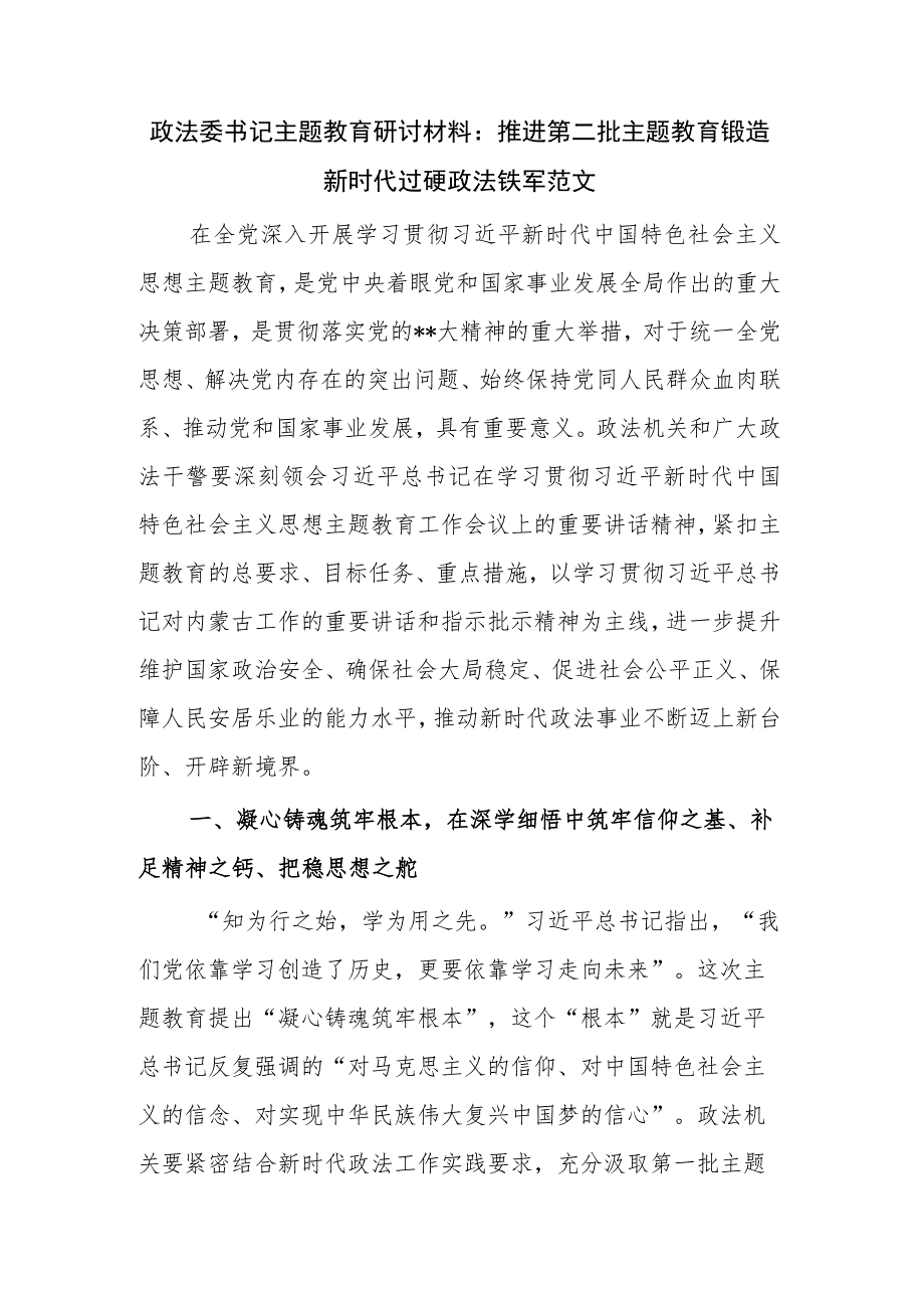 政法委书记主题教育研讨材料：推进第二批主题教育锻造新时代过硬政法铁军范文.docx_第1页