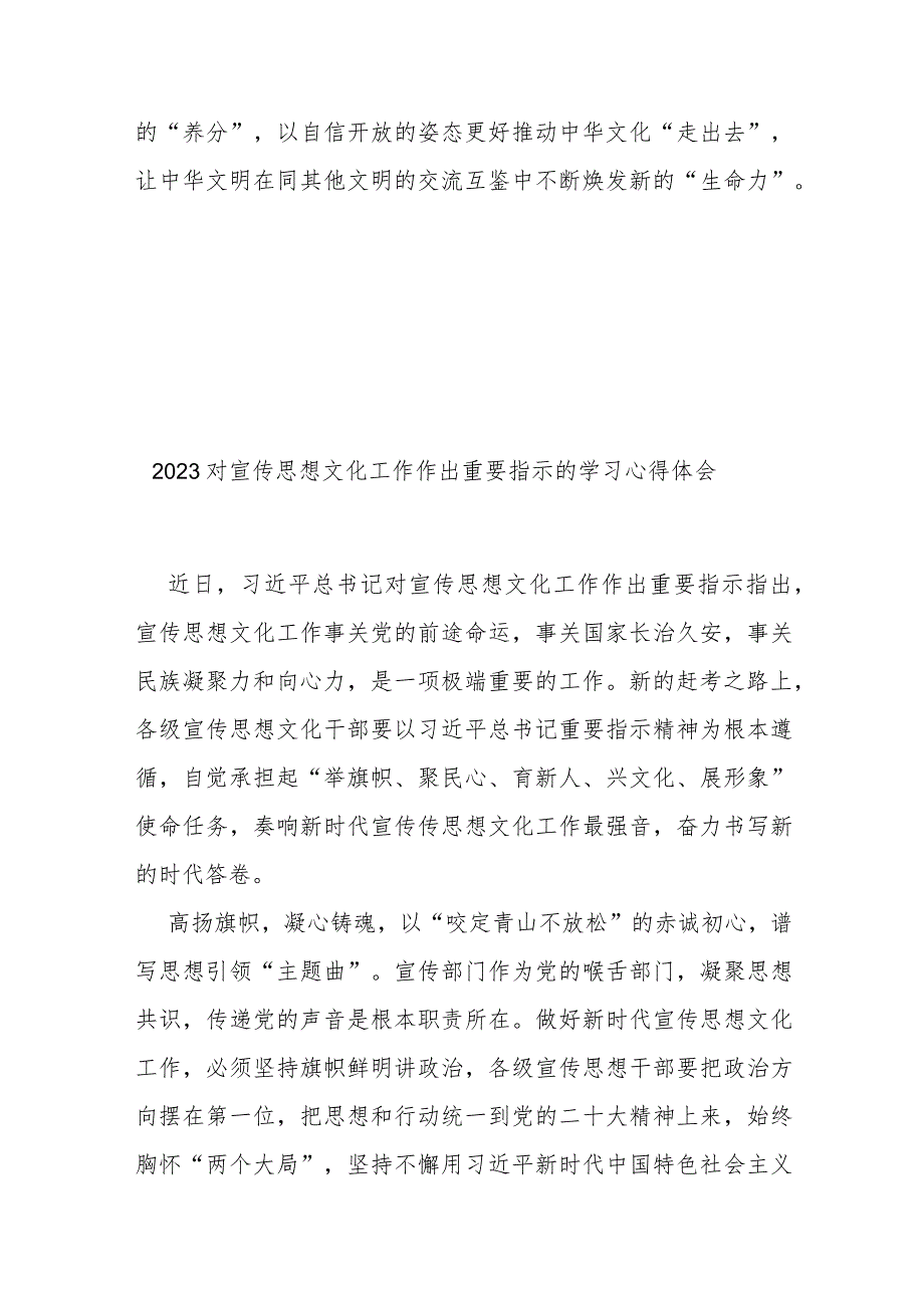 2023对宣传思想文化工作作出重要指示的学习心得体会3篇.docx_第3页