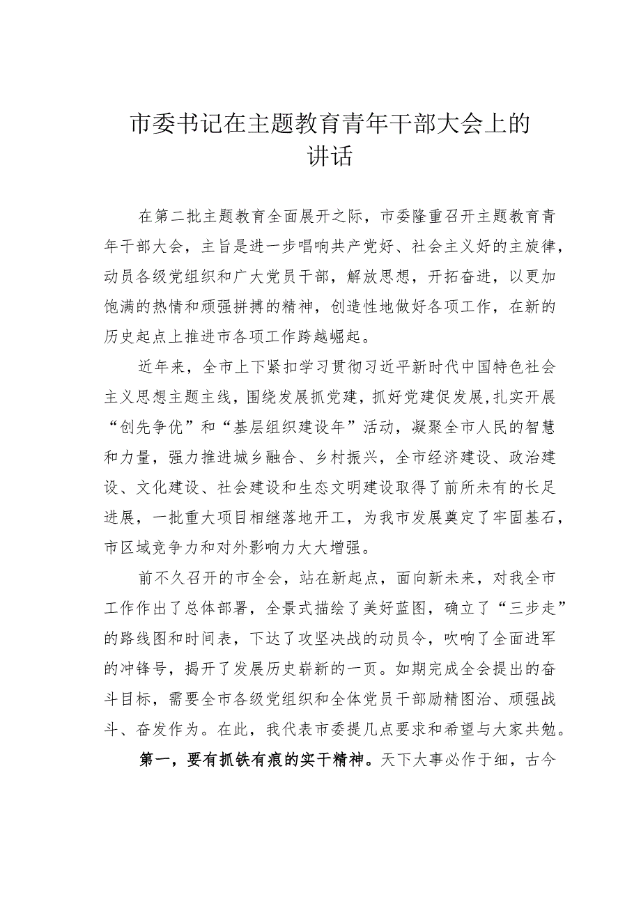 市委书记在主题教育青年干部大会上的讲话.docx_第1页