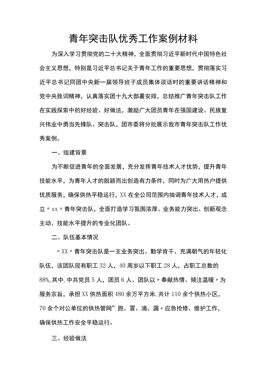 青年突击队优秀工作案例材料.docx_第1页