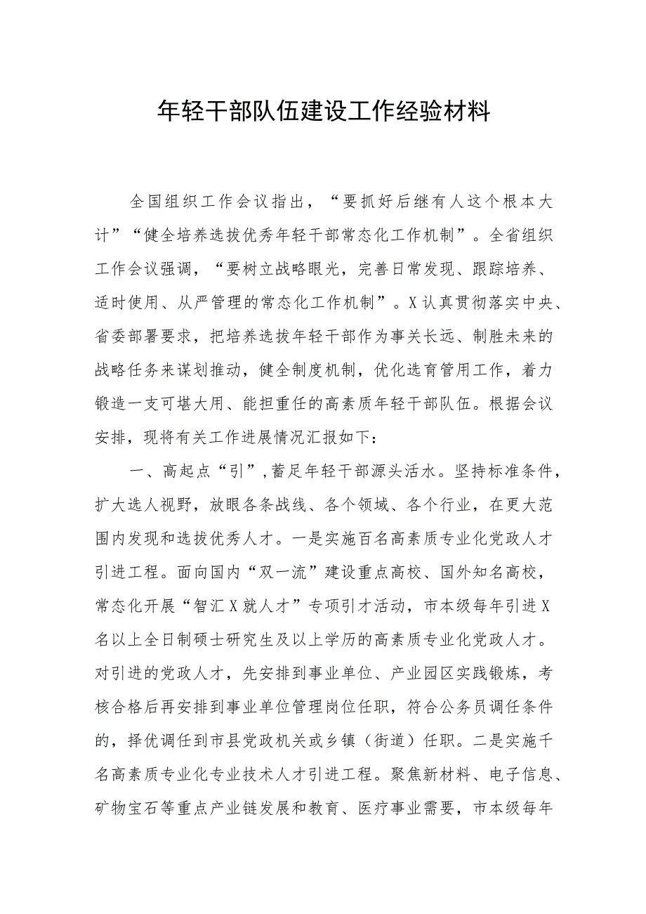 某市2023年关于年轻干部队伍建设工作经验材料.docx_第1页