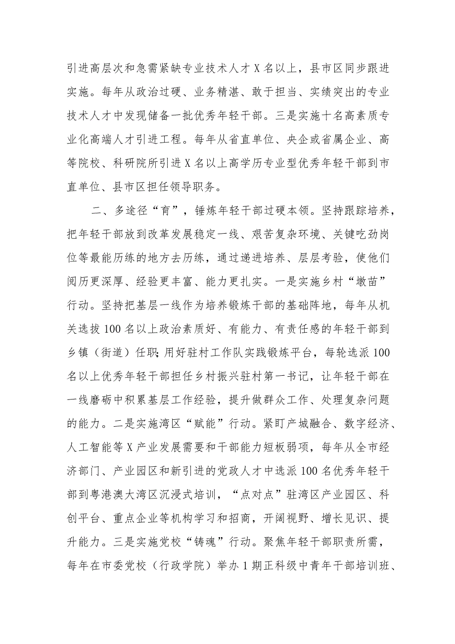 某市2023年关于年轻干部队伍建设工作经验材料.docx_第2页