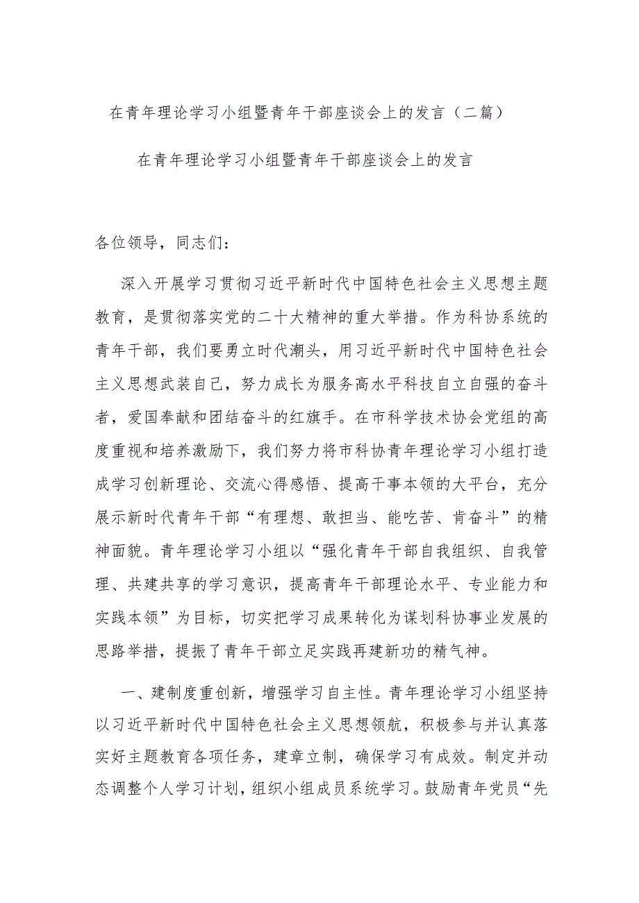 在青年理论学习小组暨青年干部座谈会上的发言(二篇).docx_第1页