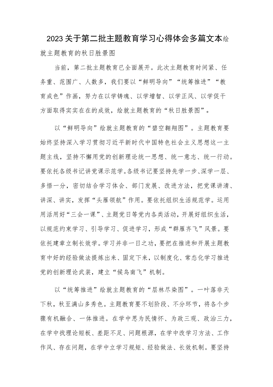 2023关于第二批主题教育学习心得体会多篇文本.docx_第1页