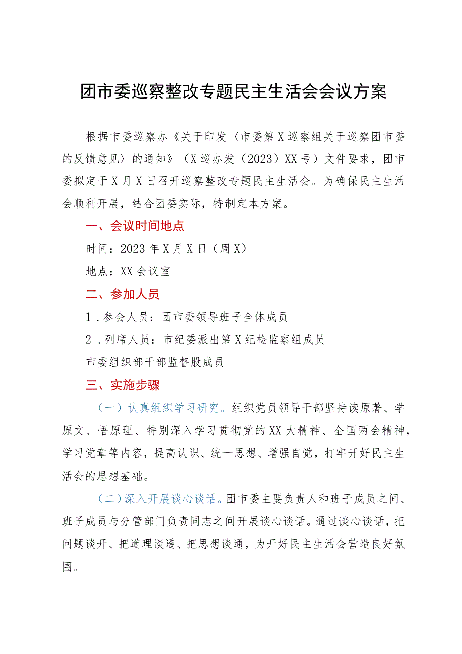 团市委巡察整改专题民主生活会会议方案.docx_第1页