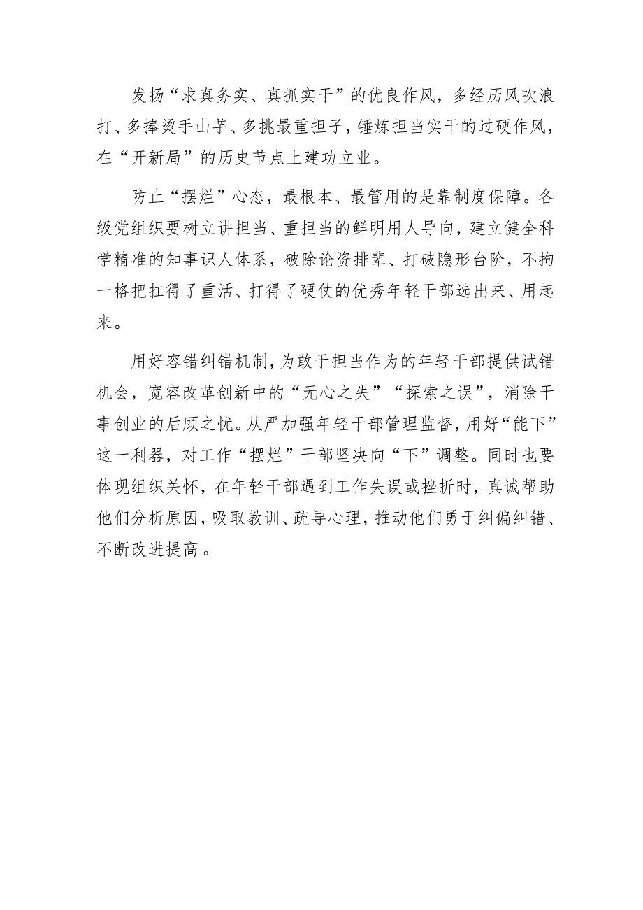 主题教育专题研讨经验交流发言材料：年轻干部不能有工作“摆烂心态”.docx_第3页