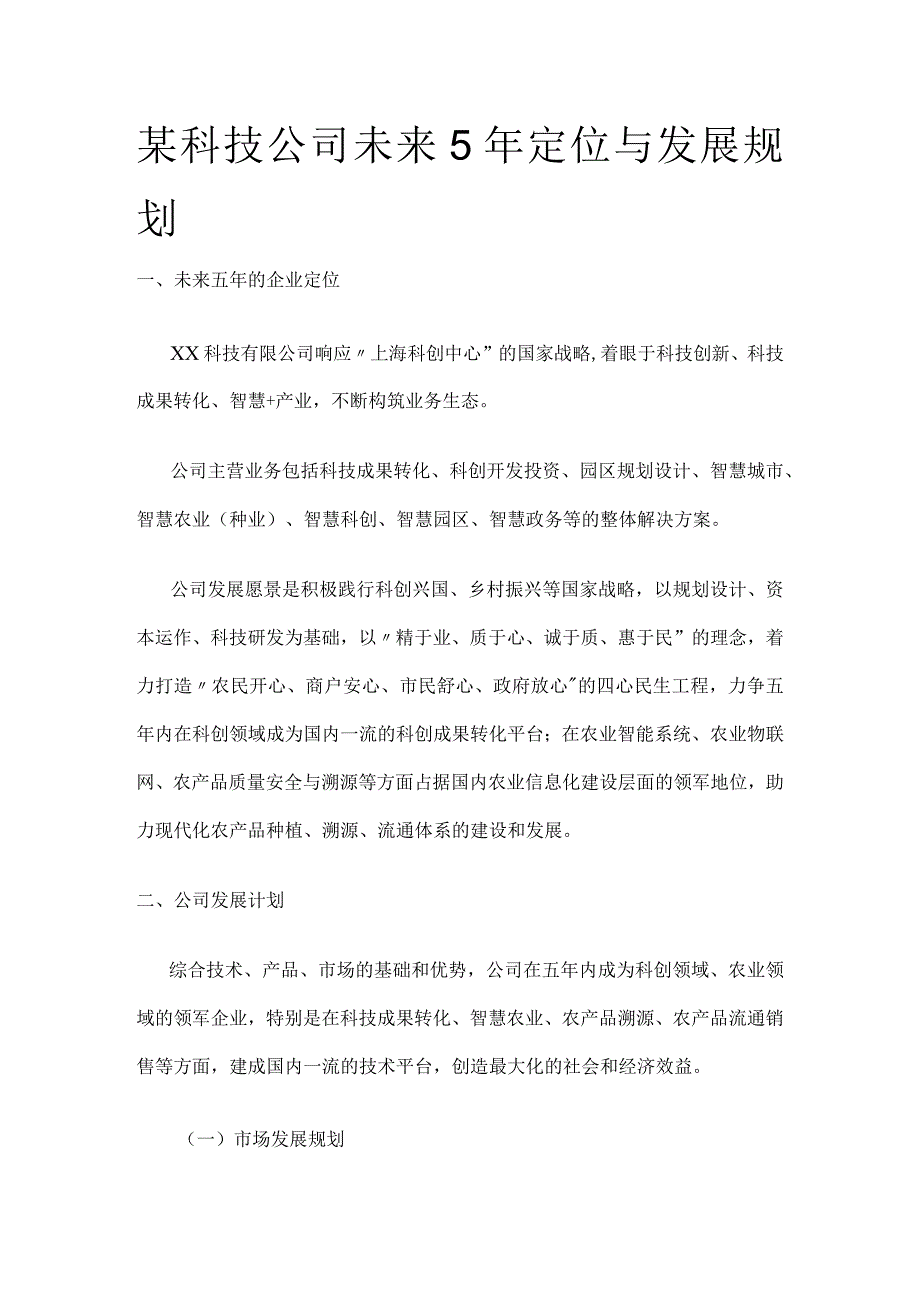 某科技公司未来5年定位与发展规划.docx_第1页