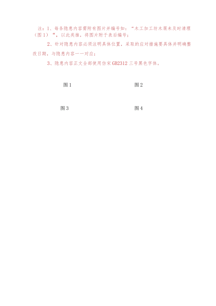 临电、消防检查样表.docx_第2页