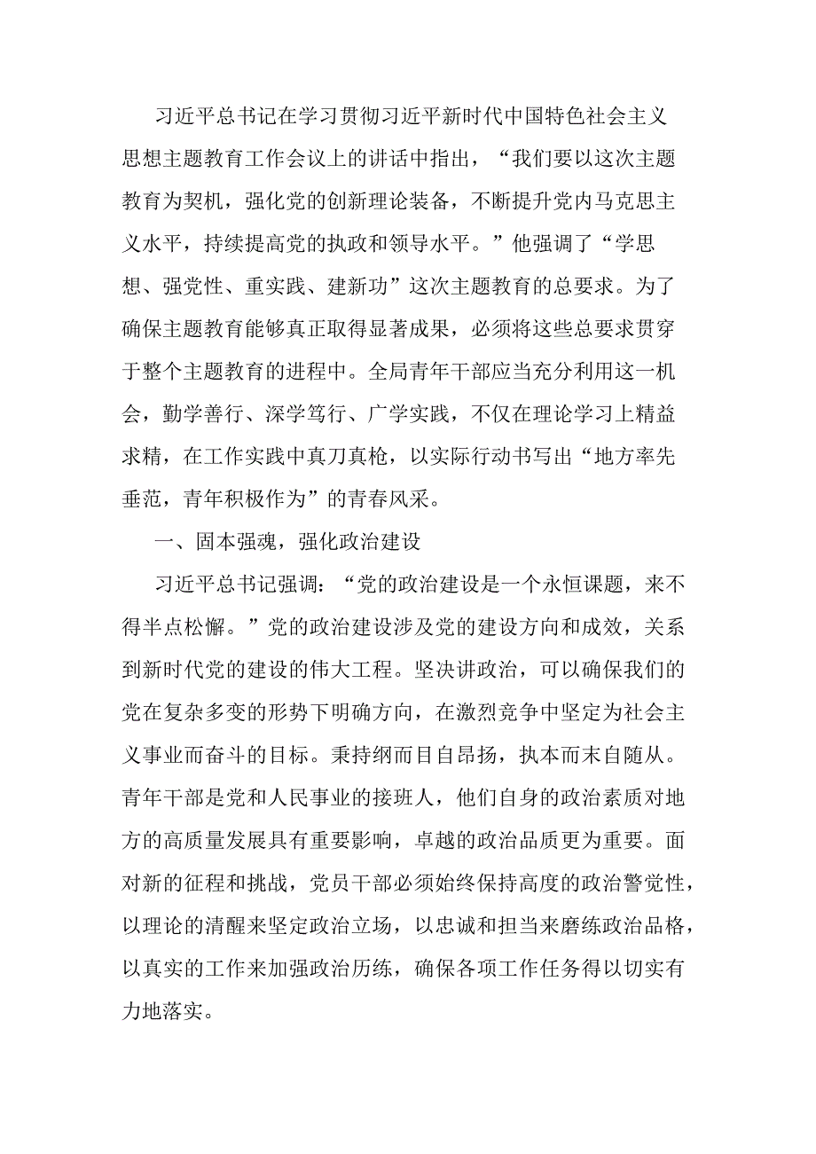 专题党课：贯彻主题教育精神 扬青年风采 谱无悔青春.docx_第1页