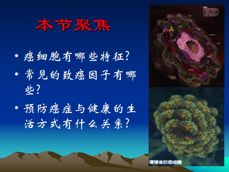 6.4细胞的癌变.ppt_第2页