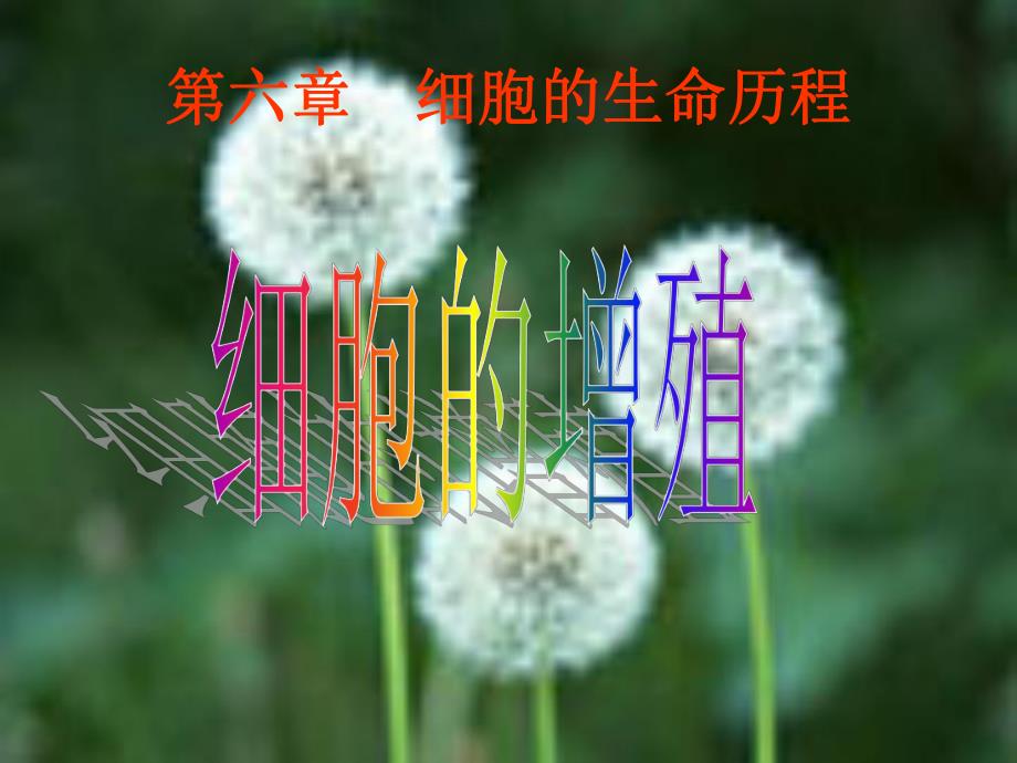 6.1细胞的增殖课件4.ppt_第1页