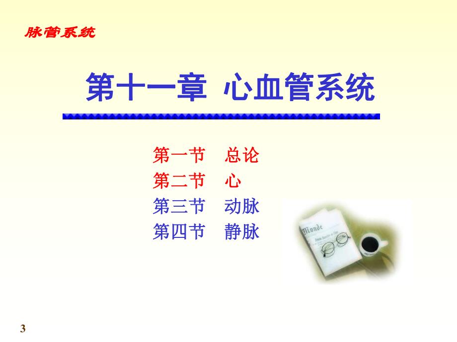 8心血管系统06.ppt_第3页