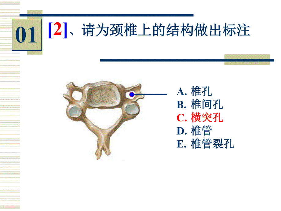 96学时实验考试有答案金联洲.ppt_第3页