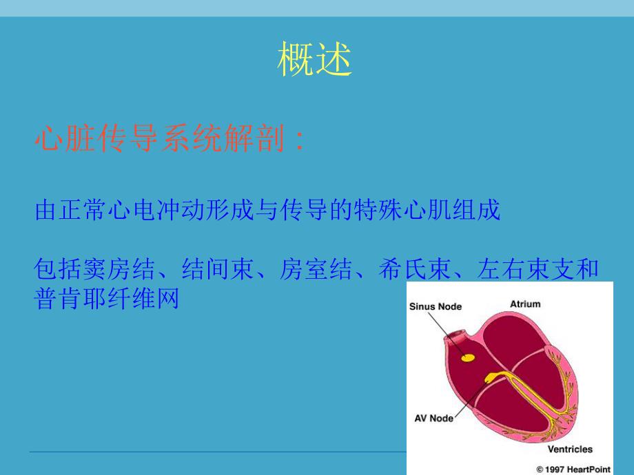 常见心律失常分析课件名师编辑PPT课件.ppt_第3页