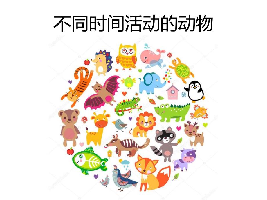 常见昆虫图片名称.ppt_第1页