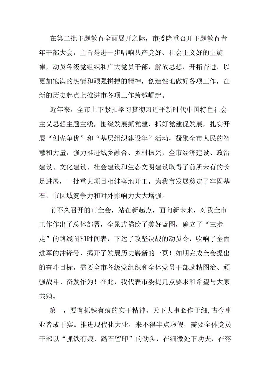 市委书记在主题教育青年干部大会上的讲话.docx_第1页