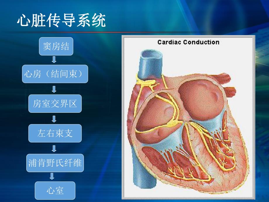 常见心律失常心电图名师编辑PPT课件.ppt_第3页