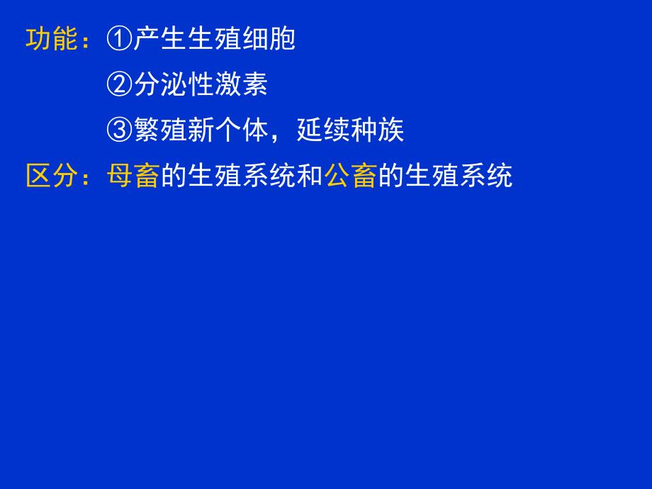 8第六章生殖系统.ppt_第2页