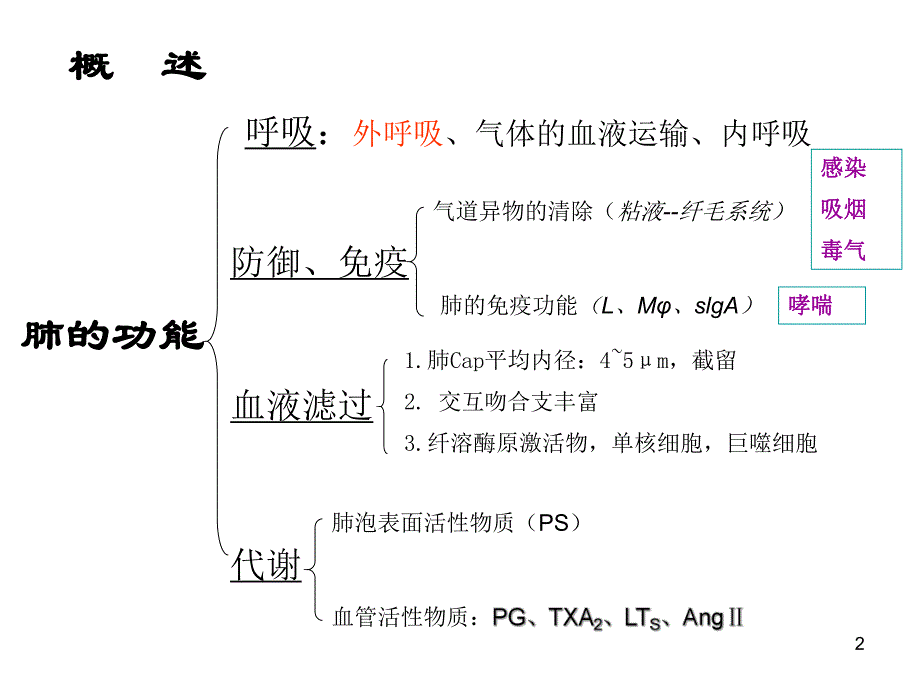 第15章肺功能不全名师编辑PPT课件.ppt_第2页