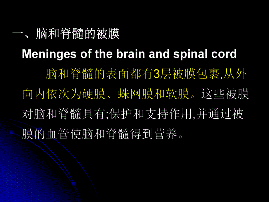 第19章脑脊髓被膜、脑血管、脑脊液循环Meninges.ppt_第2页