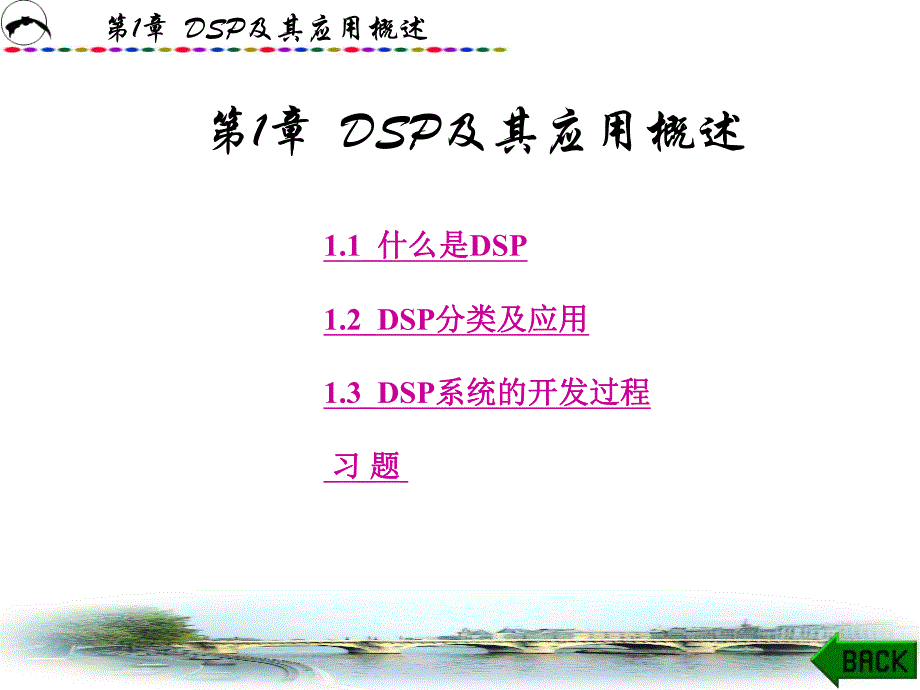 第1章 DSP及其应用概述.ppt_第1页