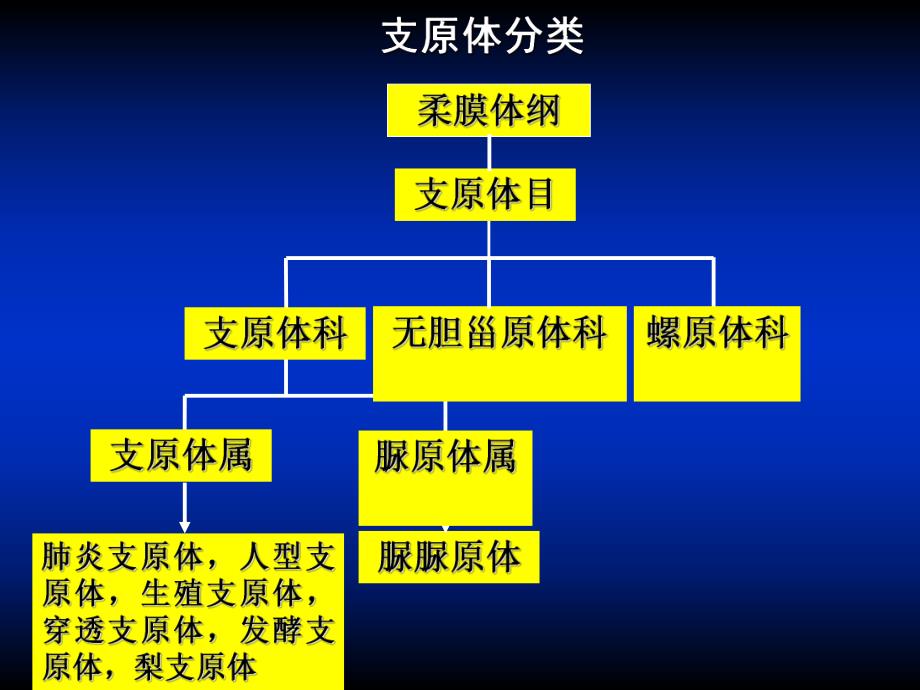 第19章支原体名师编辑PPT课件.ppt_第3页