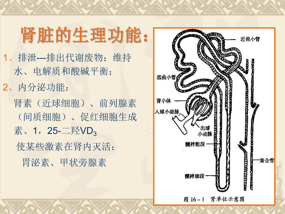 第16章肾功能不全名师编辑PPT课件.ppt_第2页