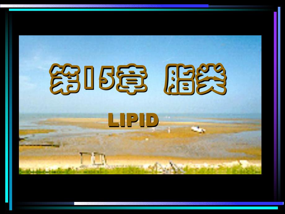 第15章脂类.ppt_第2页