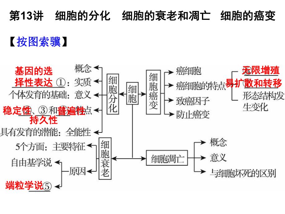 第13讲细胞的分化细胞的衰老和凋亡细胞的癌变名师编辑PPT课件.ppt_第1页