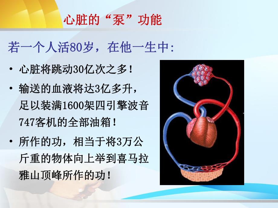 第14章心力衰竭名师编辑PPT课件.ppt_第3页