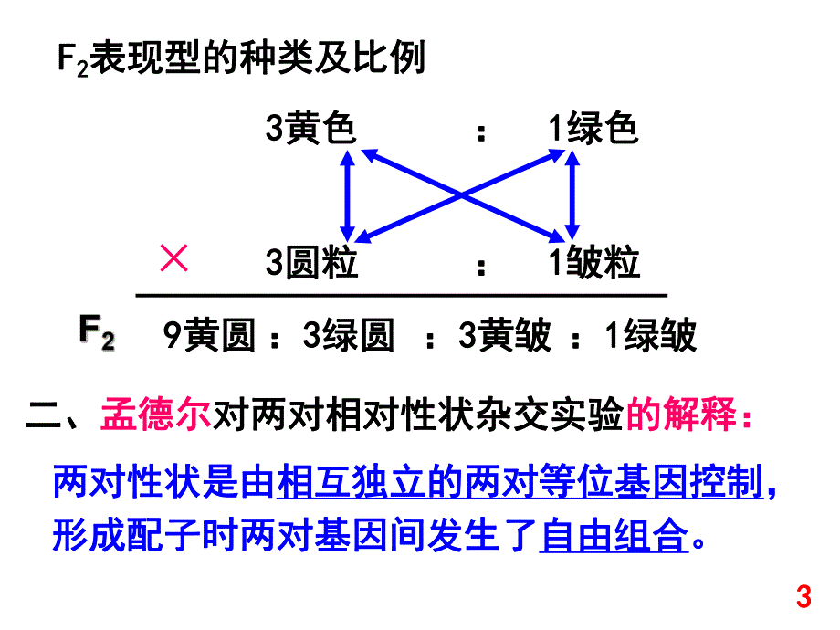 第1章第2节基因自由组合定律1211.ppt_第3页