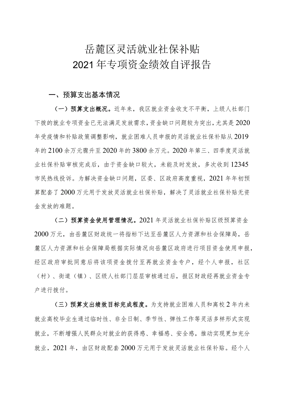 2021年度专项资金绩效评价自评表.docx_第3页