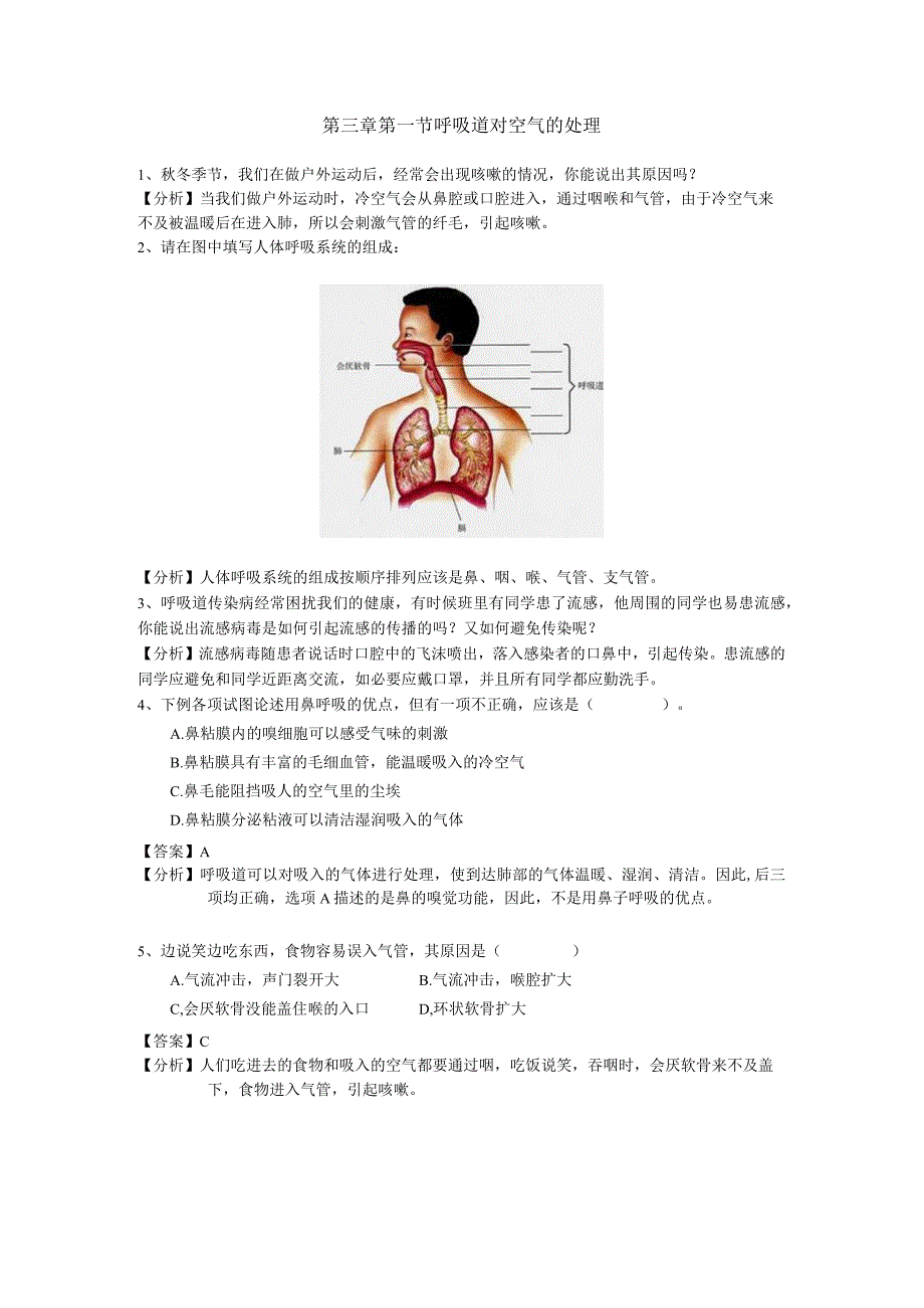 第三章第一节呼吸道对空气的处理.docx_第1页