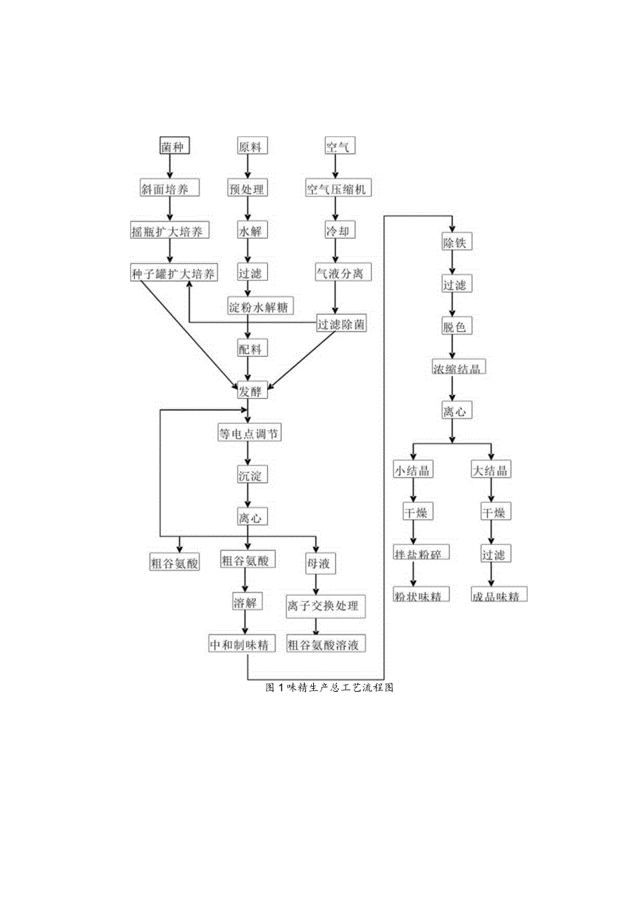 年产1.5万吨谷氨酸发酵车间设计说明.docx_第3页