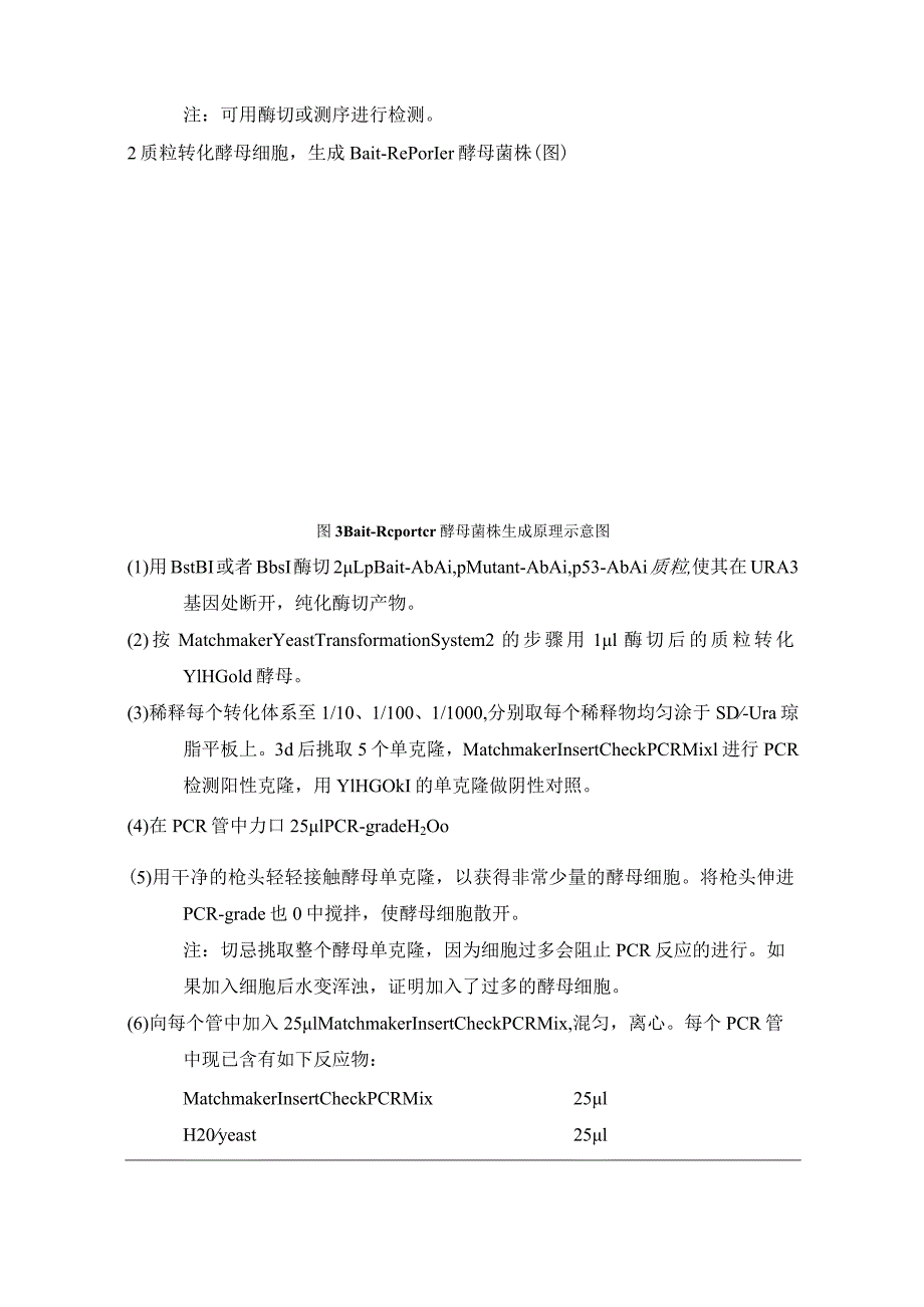 酵母单杂交-实验步骤总结.docx_第2页