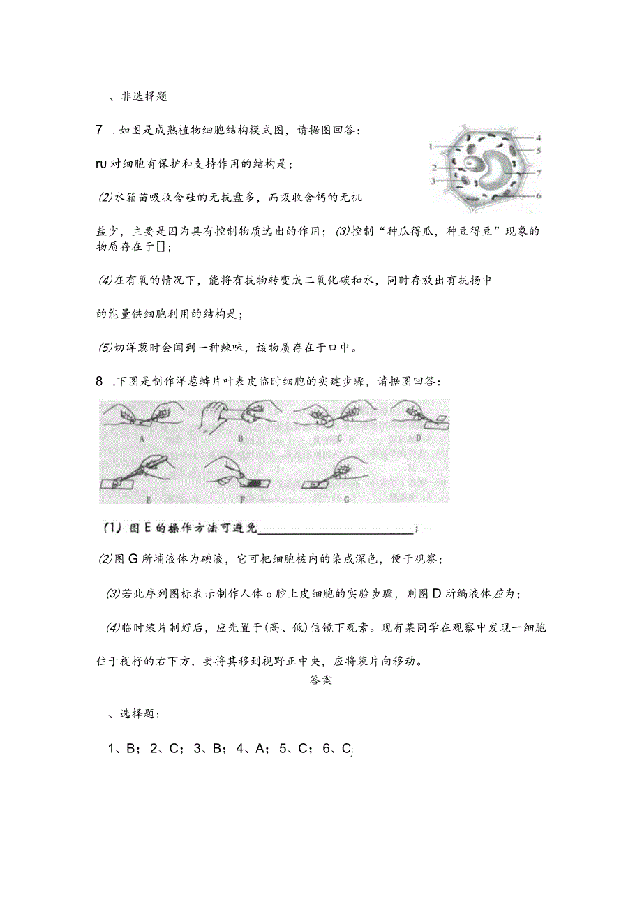 第二节植物细胞.docx_第2页