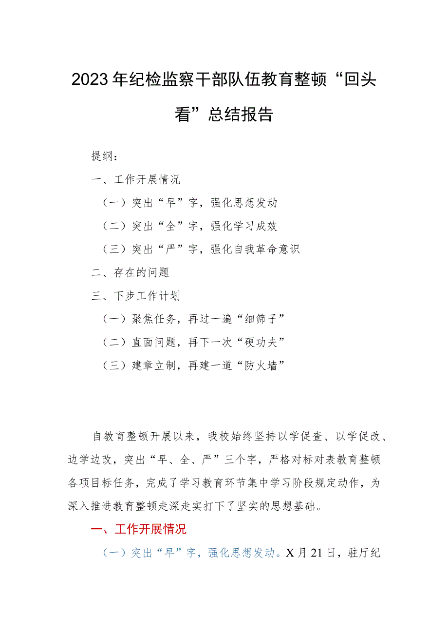 2023年纪检监察干部队伍教育整顿“回头看”总结报告.docx_第1页