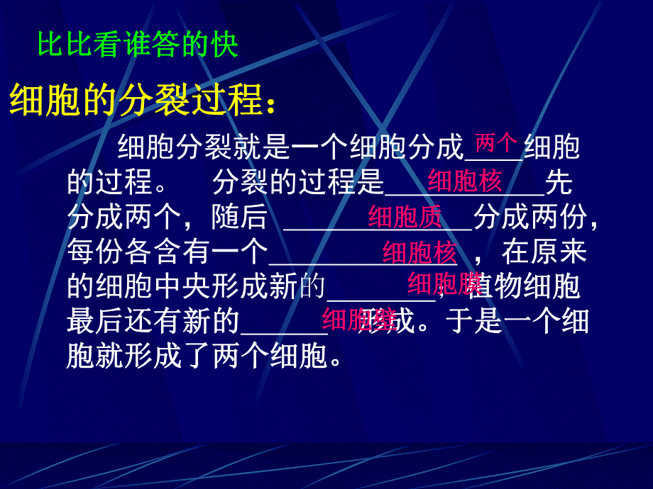 细胞分化形成组织课件精品教育.ppt_第3页