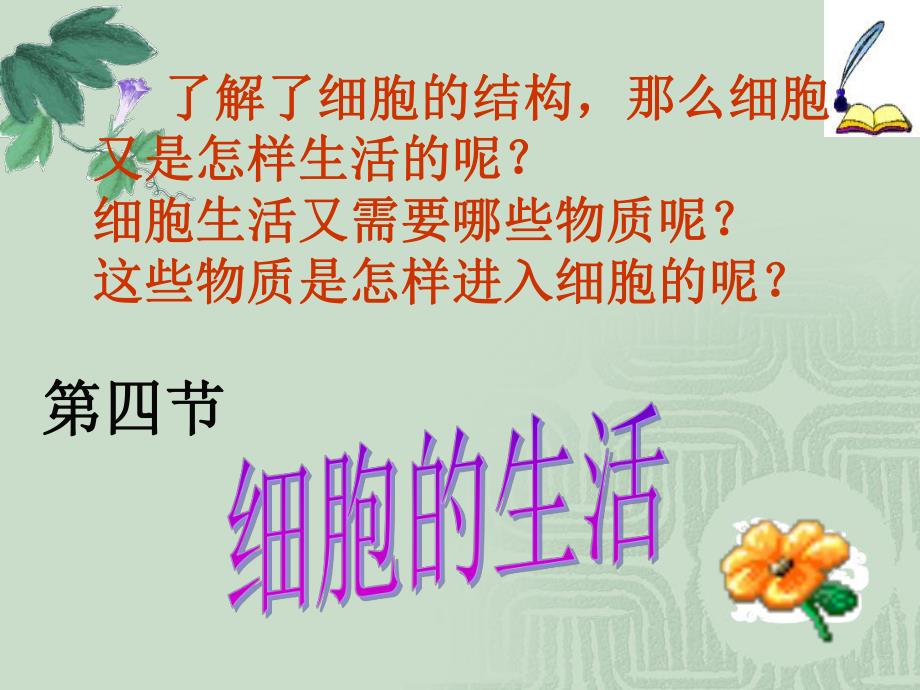 细胞的生活四课时精品教育.ppt_第2页