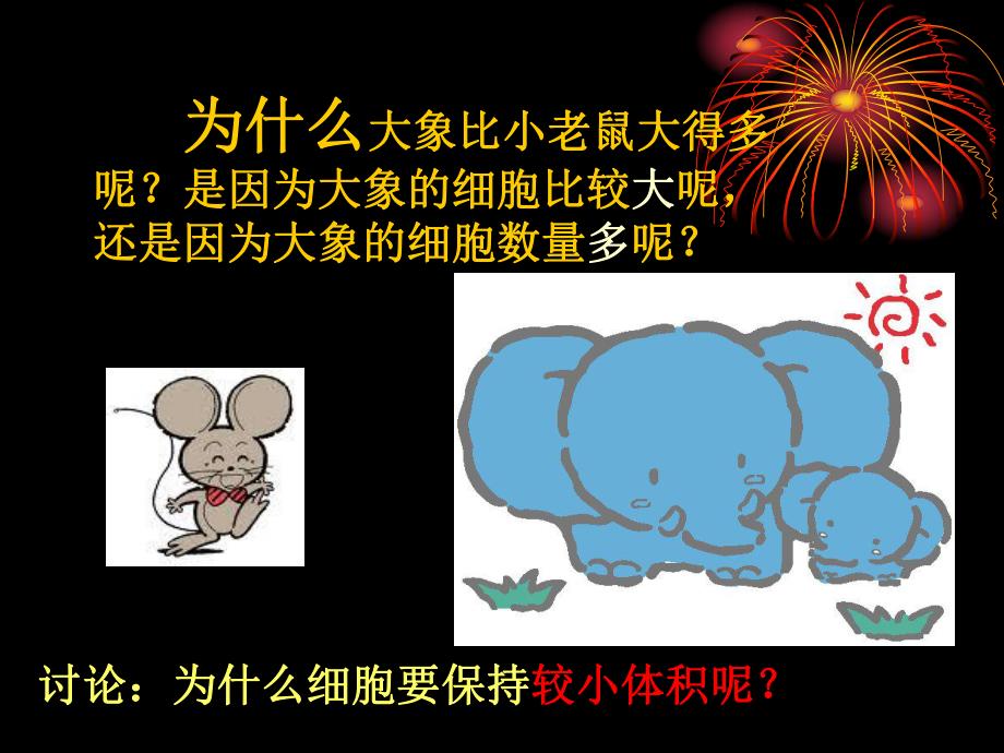 细胞通过分裂而增殖 精品教育.ppt_第3页