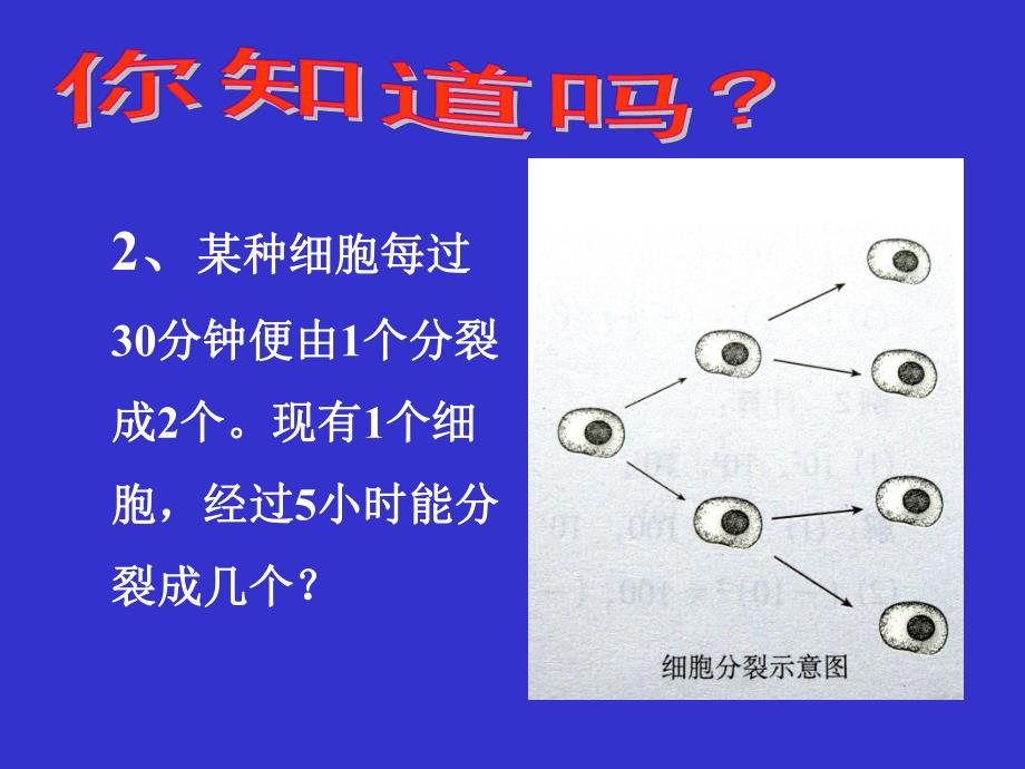 有理数乘方1精品教育.ppt_第3页