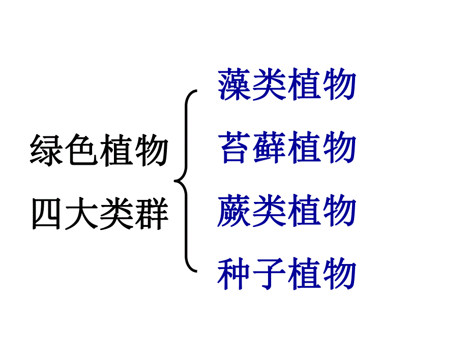 藻类苔藓与蕨类植物精品教育.ppt_第3页