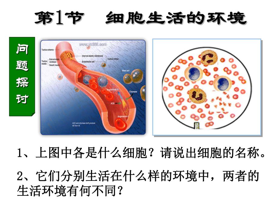 细胞生活的环境(用)精品教育.ppt_第1页