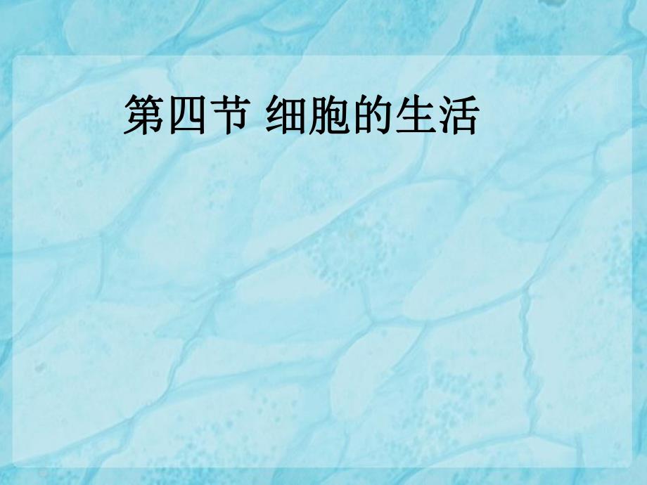 细胞的生活十三中分校张海霞 精品教育.ppt_第1页