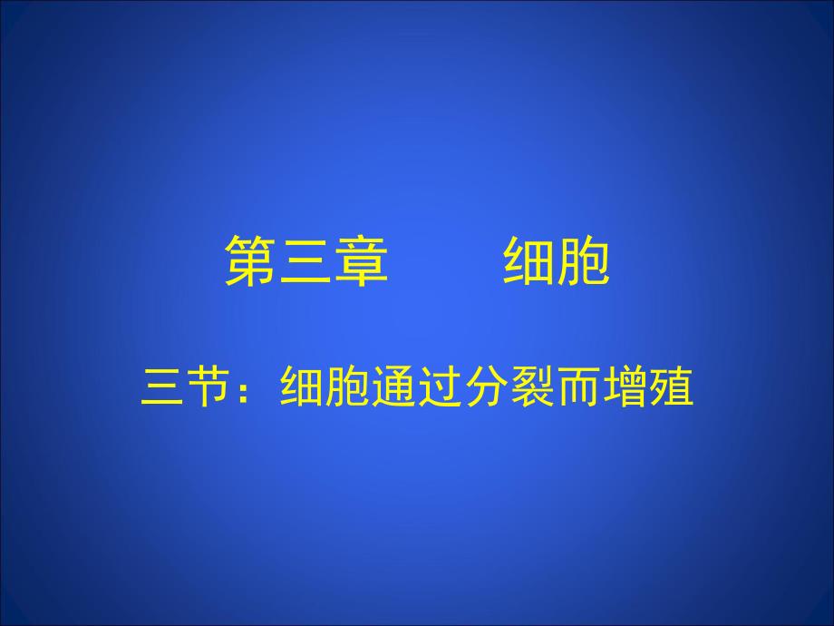 细胞为什么这么小精品教育.ppt_第2页