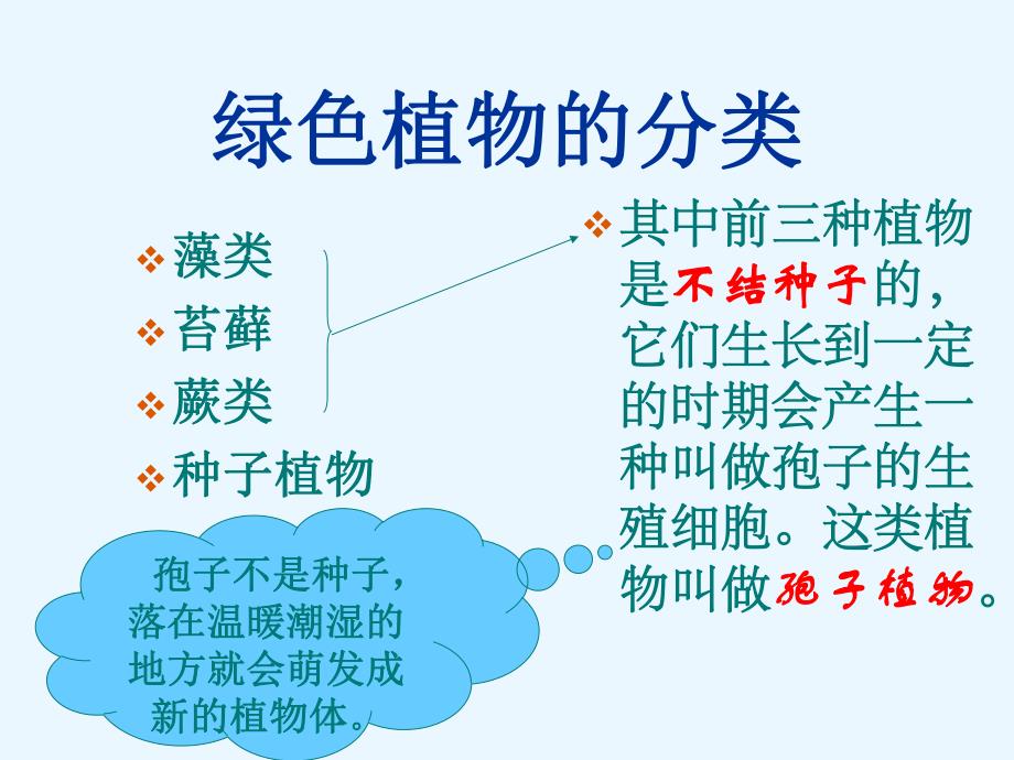 藻类苔藓和蕨类植物精品教育.ppt_第3页