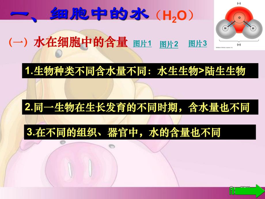 细胞中的无机物精品教育.ppt_第3页