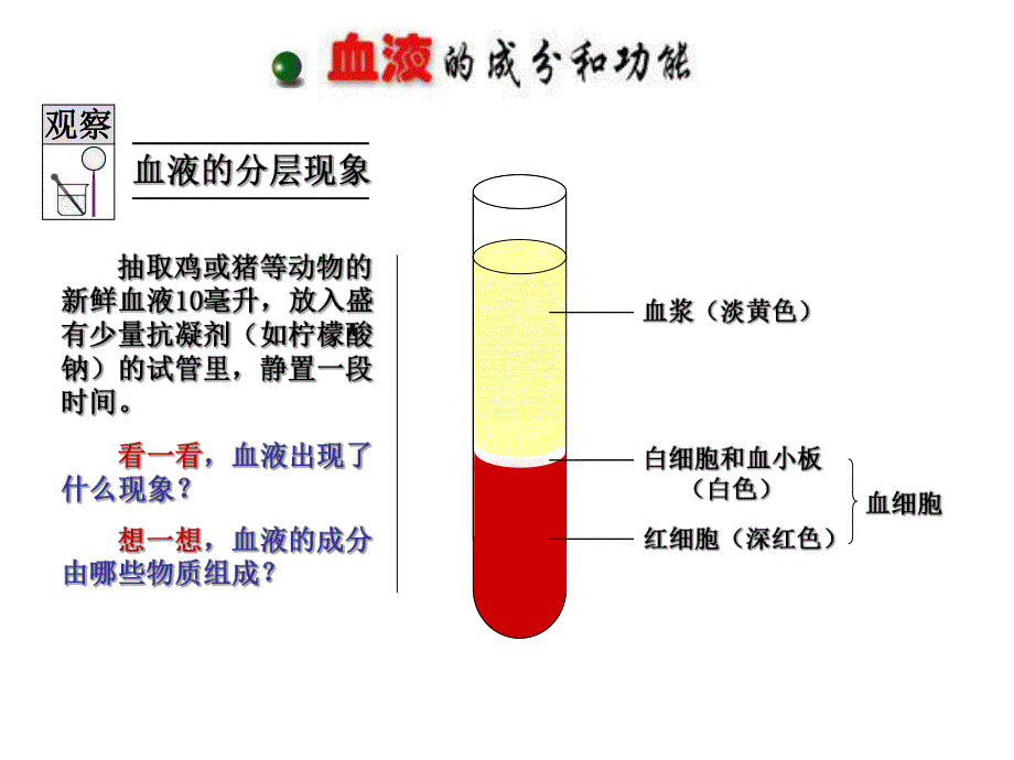 血液和血型课件修改精品教育.ppt_第3页